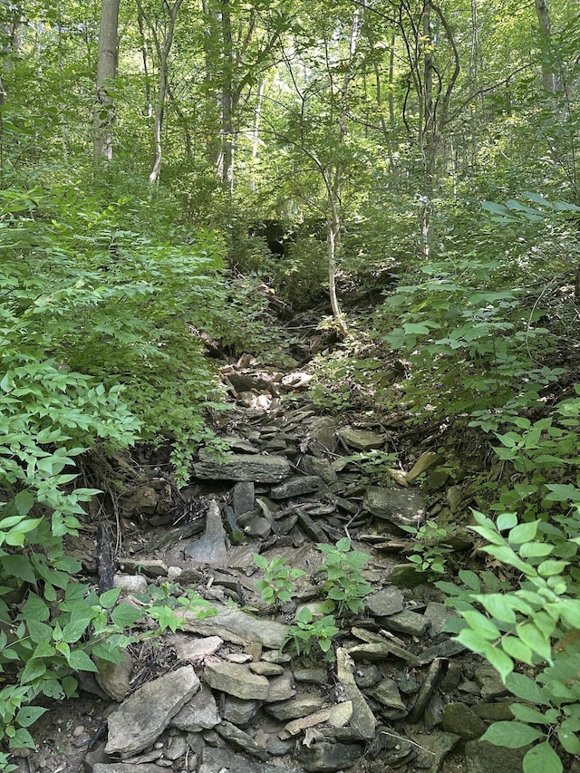 4695 Rabbit Hash Rd, Union, KY 41091