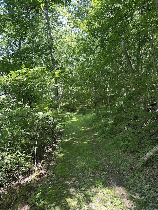 4695 Rabbit Hash Rd, Union, KY 41091