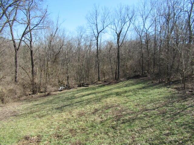 view of yard featuring a forest view