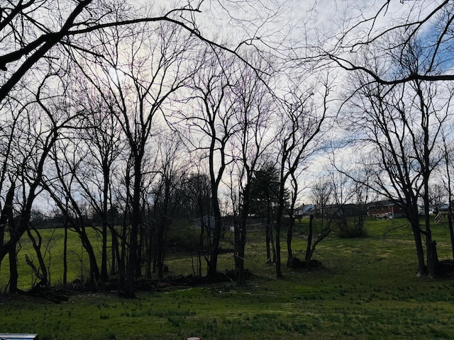 98 S Main St, Dry Ridge, KY 41035 - view of local wilderness