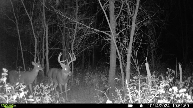 1561 Wilson Bottom Rd, Vanceburg, KY 41179