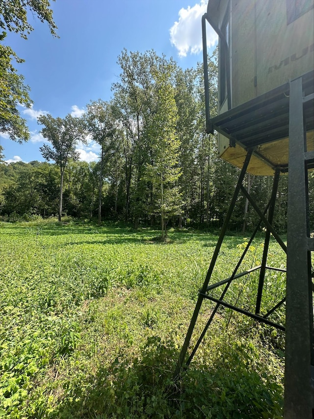 1561 Wilson Bottom Rd, Vanceburg, KY 41179