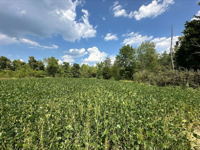 1561 Wilson Bottom Rd, Vanceburg, KY 41179