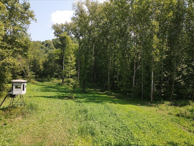 1561 Wilson Bottom Rd, Vanceburg, KY 41179