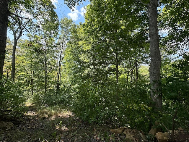1561 Wilson Bottom Rd, Vanceburg, KY 41179