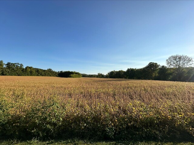 1561 Wilson Bottom Rd, Vanceburg, KY 41179