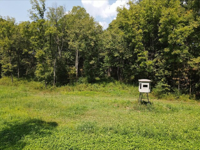 1561 Wilson Bottom Rd, Vanceburg, KY 41179