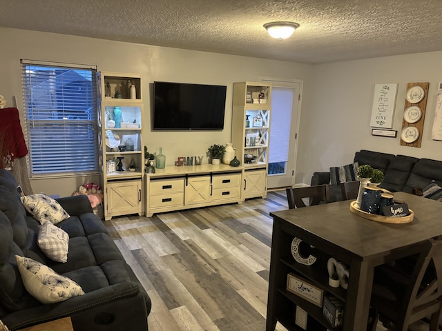 living room with wood finished floors and a textured ceiling