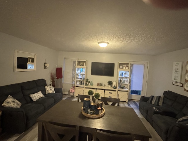 living room with wood finished floors and a textured ceiling