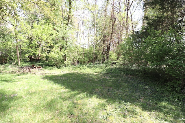 view of yard with a view of trees