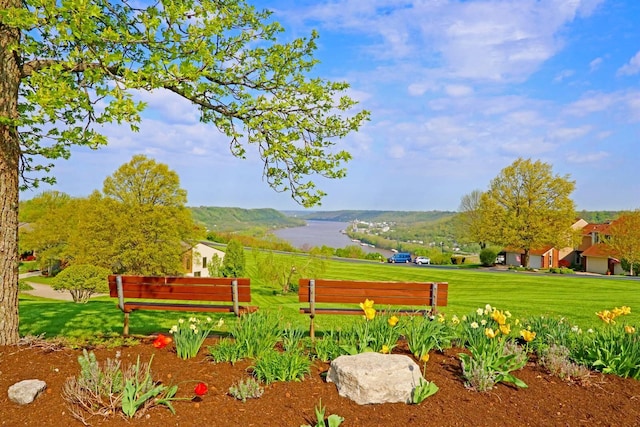 view of home's community with a lawn and a mountain view