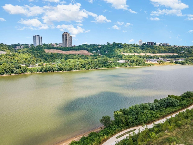 739 Manhattan Blvd Unit 103, Dayton, KY 41074 - view of water feature with a view of city