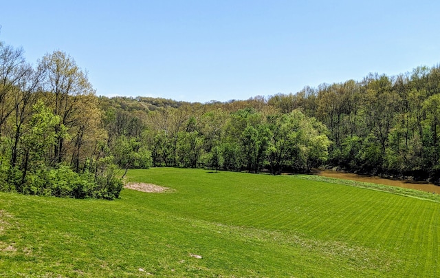 4400 Chipman Ridge Rd, Williamstown, KY 41097 - view of green lawn featuring a forest view