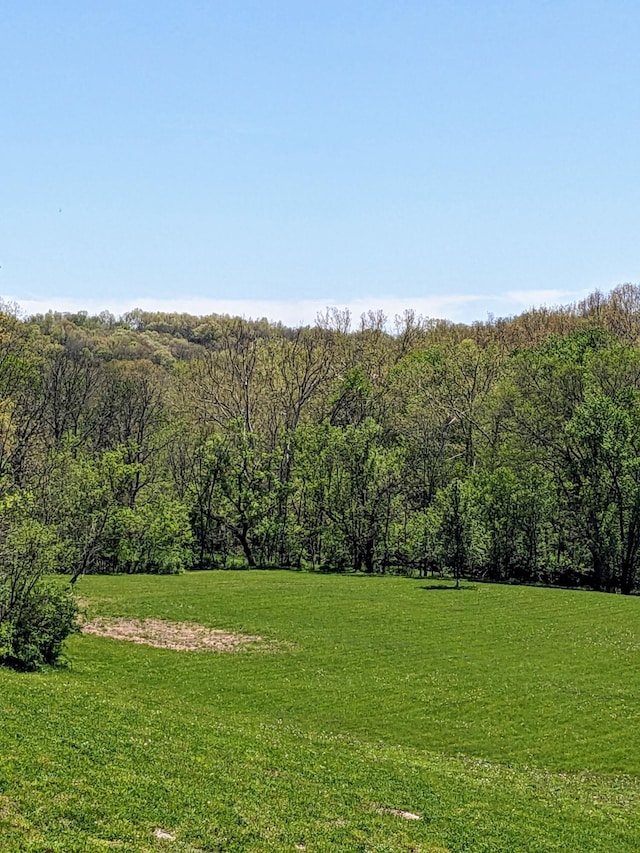 4400 Chipman Ridge Rd, Williamstown, KY 41097 - view of green lawn with a forest view