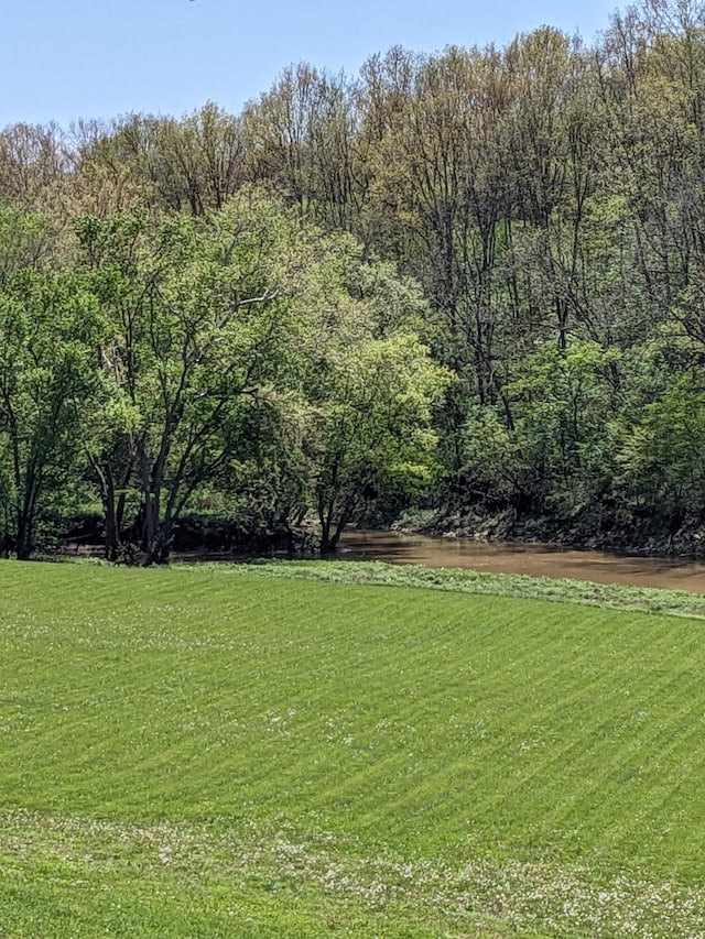 4400 Chipman Ridge Rd, Williamstown, KY 41097 - view of green lawn