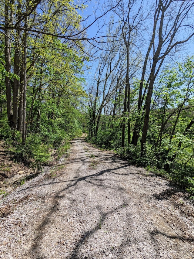 4400 Chipman Ridge Rd, Williamstown, KY 41097 - view of street featuring a view of trees