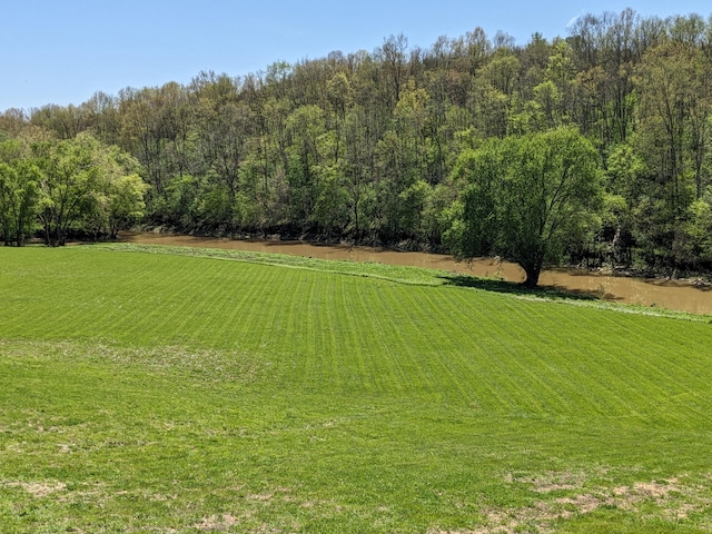 4400 Chipman Ridge Rd, Williamstown, KY 41097 - view of grassy yard