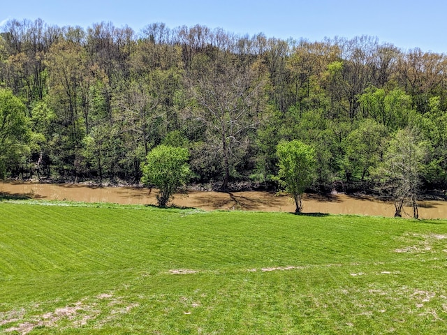 4400 Chipman Ridge Rd, Williamstown, KY 41097 - view of grassy yard