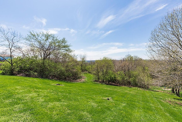 13471 Peach Grove Rd, California, KY 41007 - view of yard