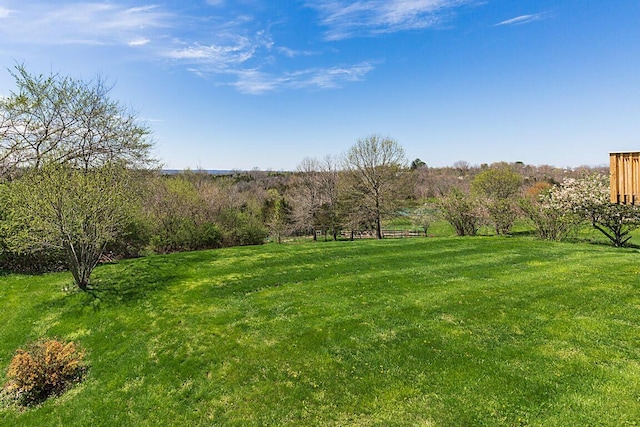 13471 Peach Grove Rd, California, KY 41007 - view of yard
