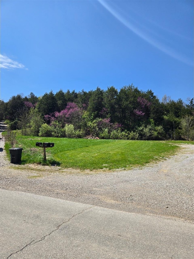 0 A Roberts Rd, Verona, KY 41092