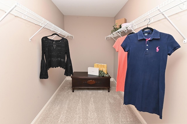 spacious closet with carpet floors