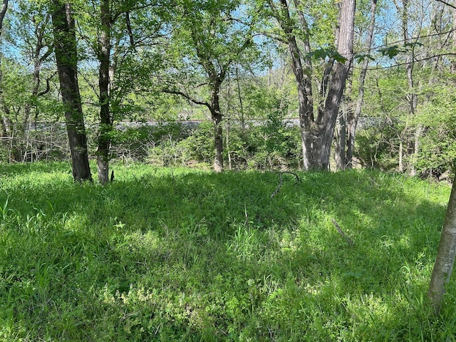 view of nature