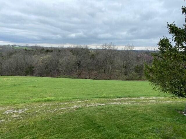734 Cooper Ln, Brooksville, KY 41004 - photo 19