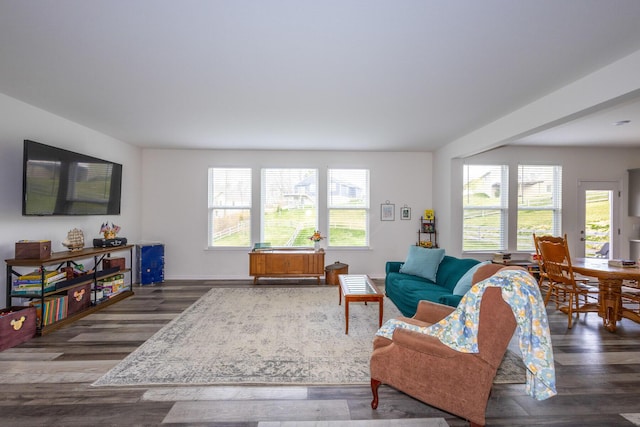 living room with plenty of natural light and wood finished floors