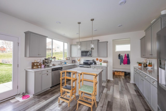 kitchen with appliances with stainless steel finishes, a sink, gray cabinetry, and a wealth of natural light