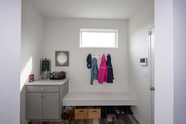 mudroom featuring wood finished floors