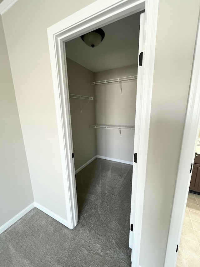 spacious closet with carpet floors