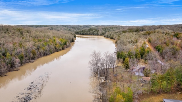 birds eye view of property with a water view and a view of trees