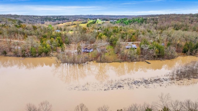 drone / aerial view with a water view and a view of trees