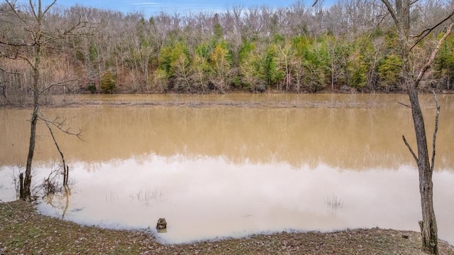 water view featuring a wooded view
