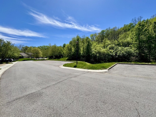 view of road featuring curbs