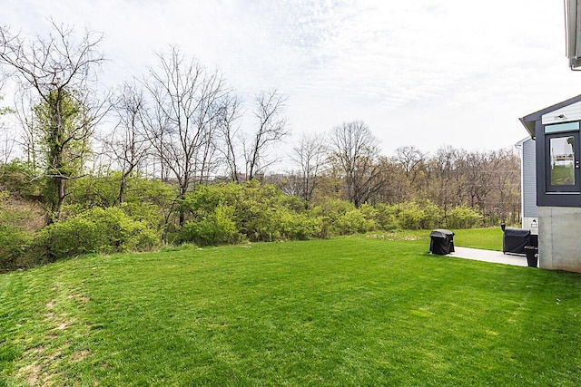 9956 Meadow Glen Dr, Independence, KY 41051 - view of yard featuring a patio area