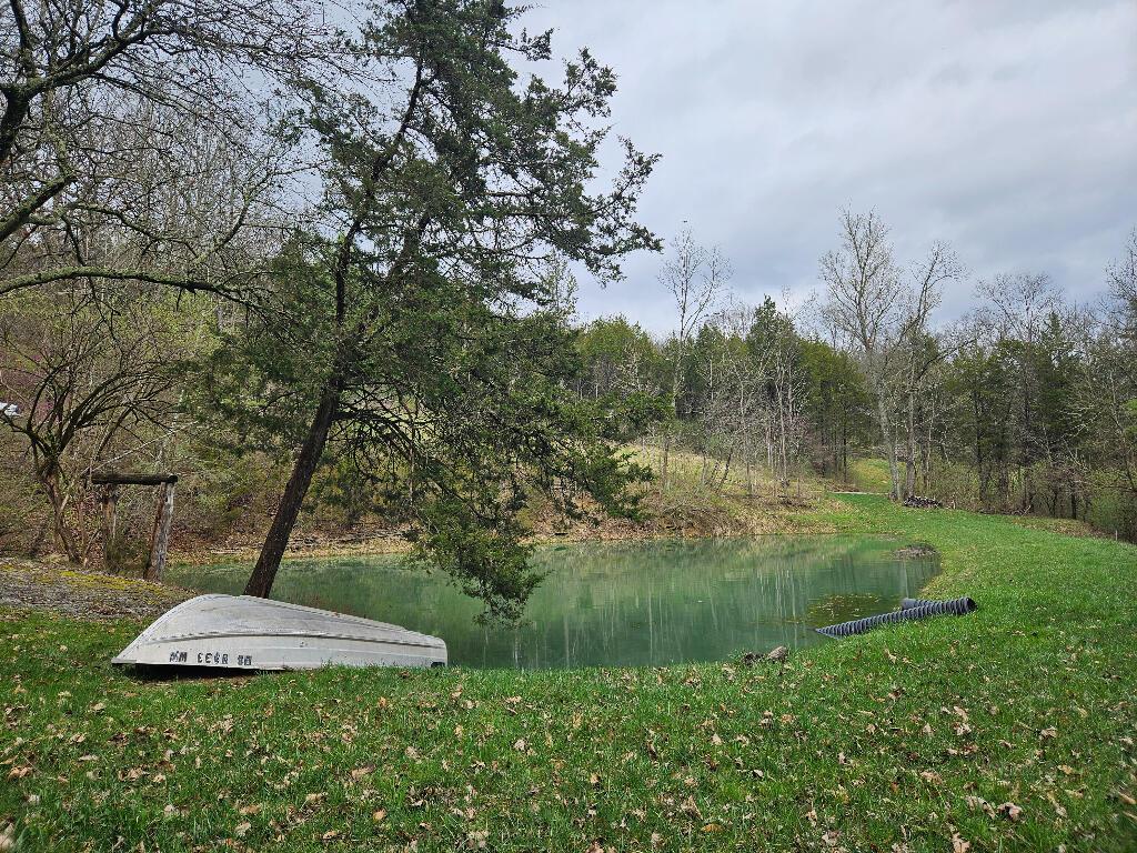 8896 Stonehouse Rd, Alexandria, KY 41001 - photo 1