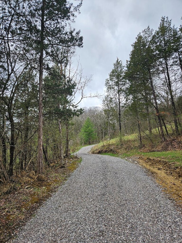 8896 Stonehouse Rd, Alexandria, KY 41001