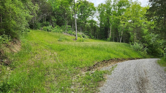 8896 Stonehouse Rd, Alexandria, KY 41001