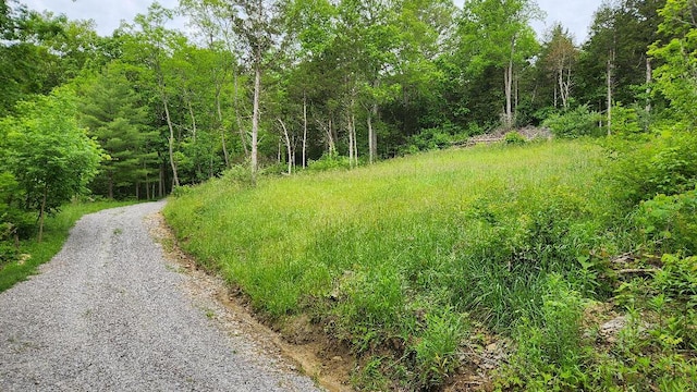 8896 Stonehouse Rd, Alexandria, KY 41001
