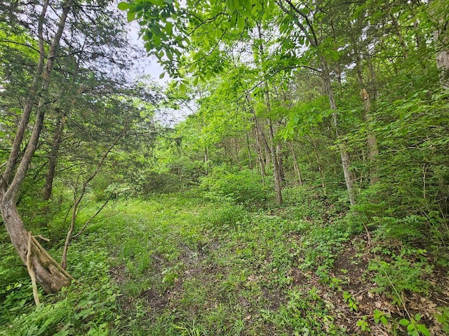 8896 Stonehouse Rd, Alexandria, KY 41001