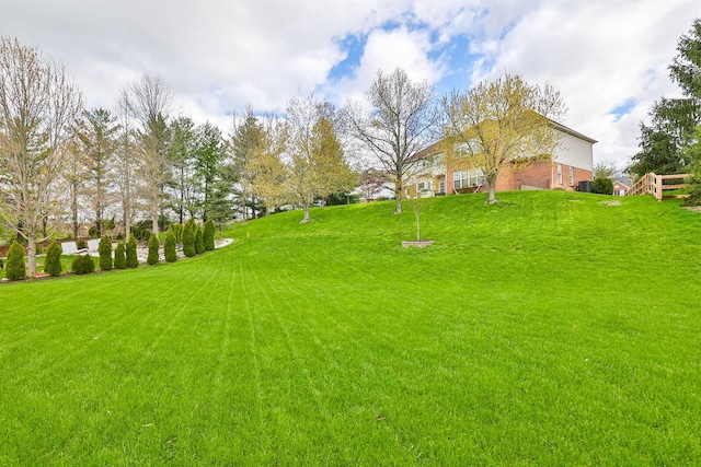 11506 Sutherland Dr, Walton, KY 41094 - view of yard