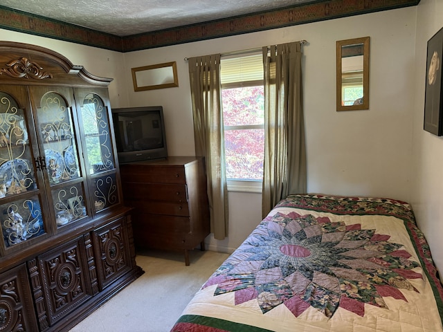 bedroom with light carpet and a textured ceiling