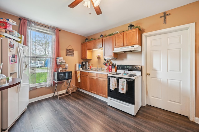 kitchen with a wealth of natural light, under cabinet range hood, dark wood-type flooring, and white appliances