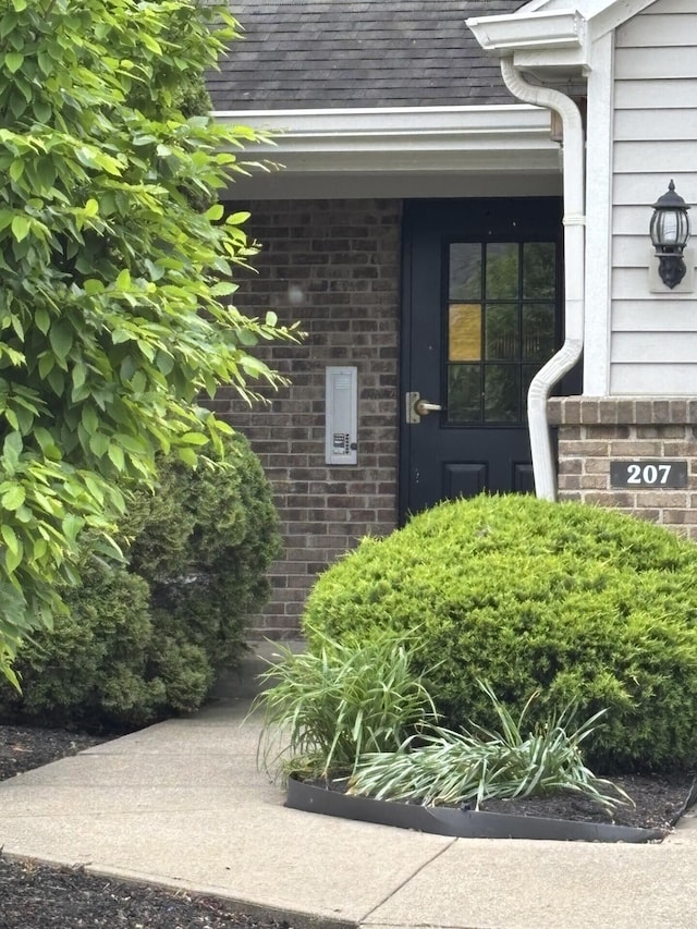 207 S Watchtower Dr Unit 203, Wilder, KY 41076 - view of exterior entry featuring brick siding and a shingled roof