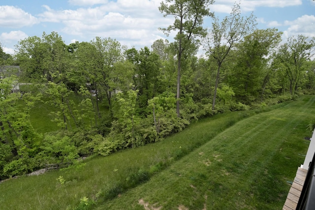 692 Daphne Way, Crescent Springs, KY 41017 - view of yard