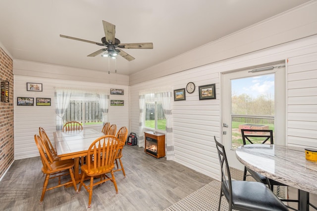 dining room with wood finished floors, ornamental molding, ceiling fan, and wood walls