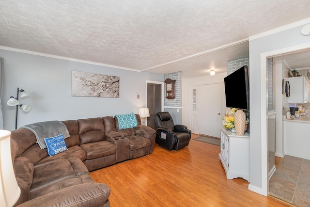 living area with crown molding, a textured ceiling, and light wood-style floors