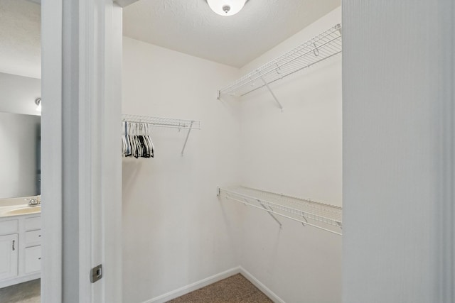 spacious closet featuring a sink and light colored carpet